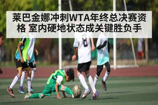 莱巴金娜冲刺WTA年终总决赛资格 室内硬地状态成关键胜负手